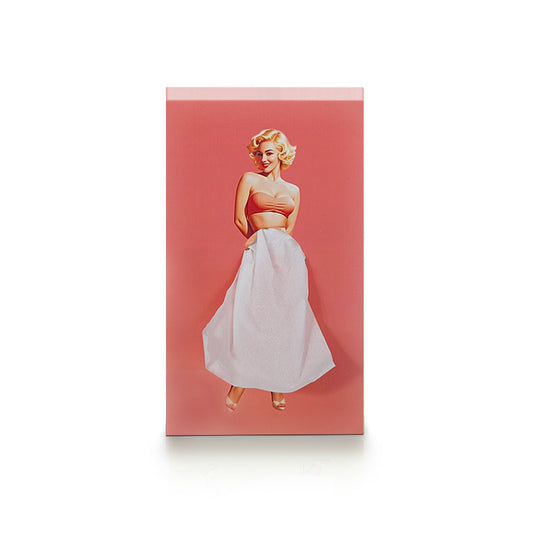 Modern Home & Car Décor - Creative ABS Cartoon Lady Tissue Bo